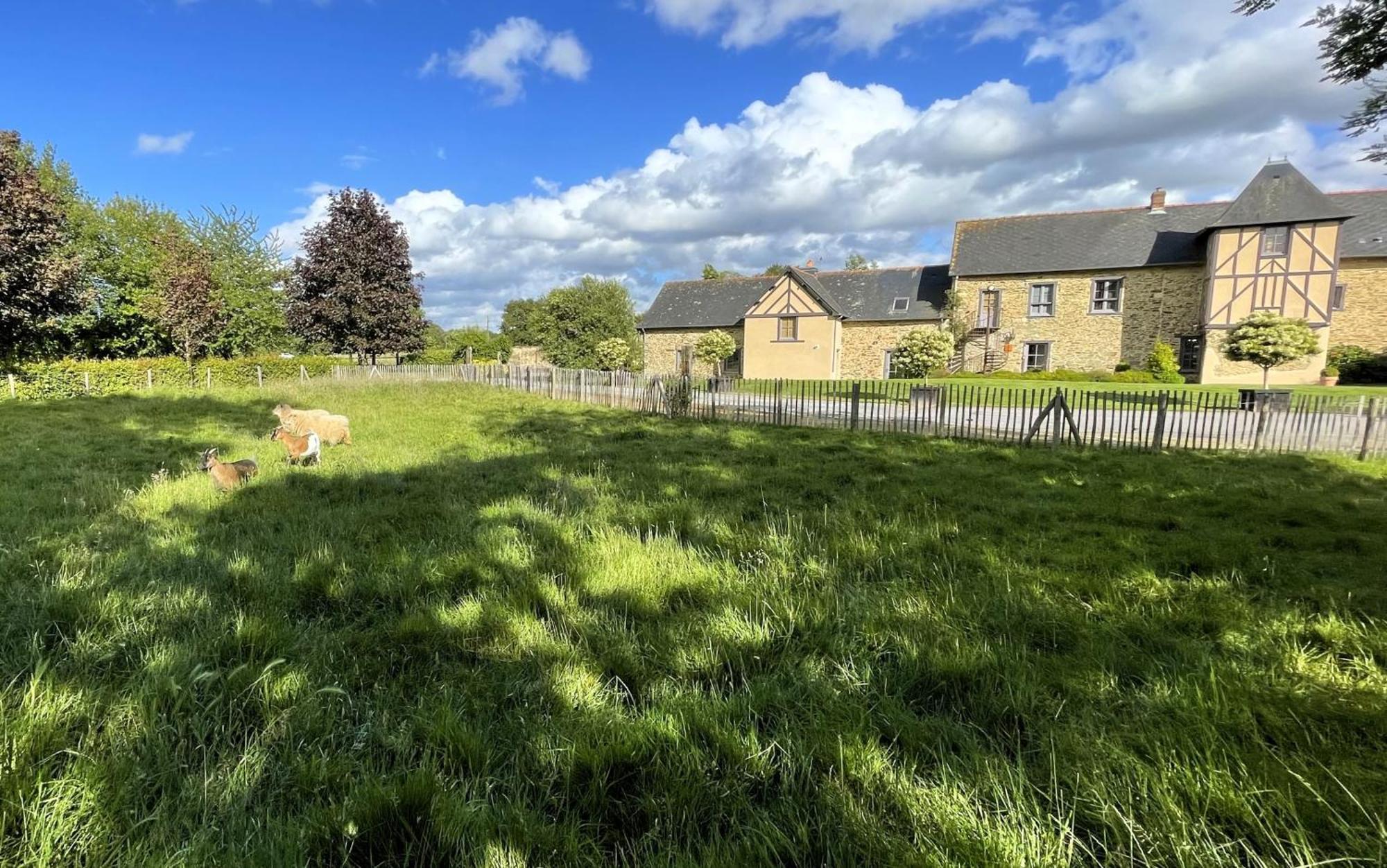 Appart' D'Hotes , Ch Et Gite Au Manoir De La Haute Pilais Chantepie Exterior foto